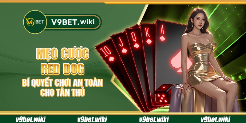 Mẹo cược Red Dog - Bí quyết chơi an toàn cho tân thủ