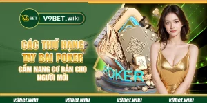 Các thứ hạng tay bài Poker - Cẩm nang cơ bản cho người mới