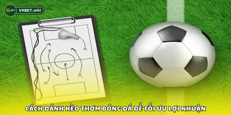 Cách đánh kèo thơm bóng đá để tối ưu lợi nhuận