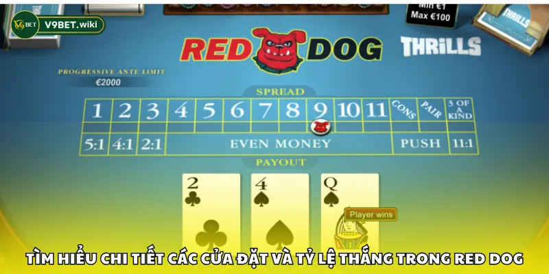 Tìm hiểu chi tiết các cửa đặt và tỷ lệ thắng trong Red Dog